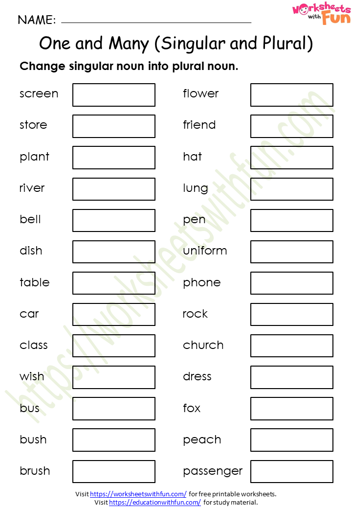 English Class 1 One And Many Singular And Plural Worksheet 1